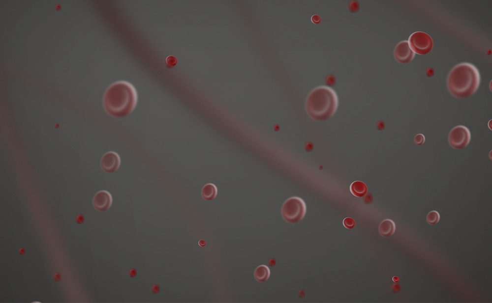 2e2b5855777cc4f9b60c07bcf6e4f15b_1758156562_3126.jpeg